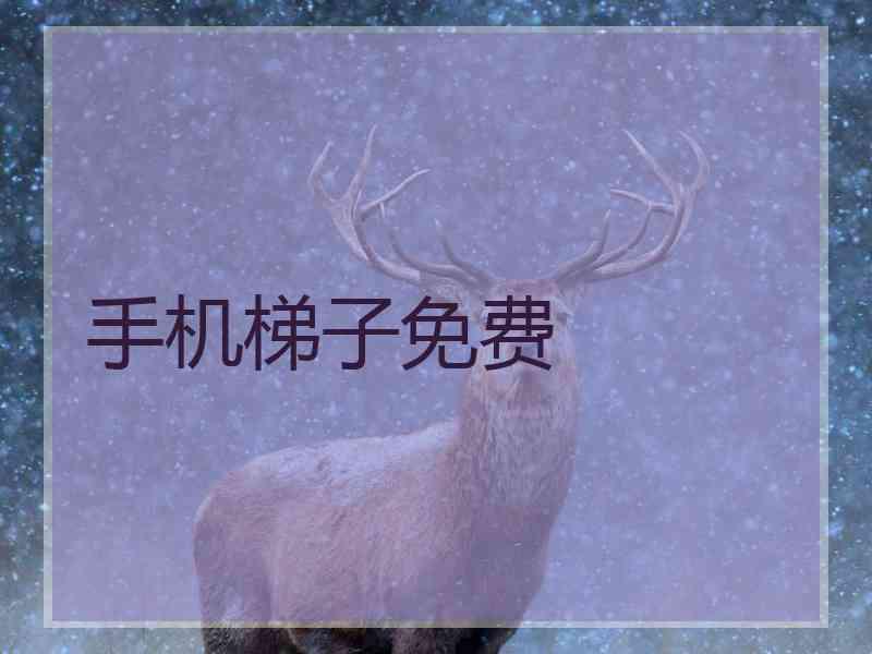 手机梯子免费