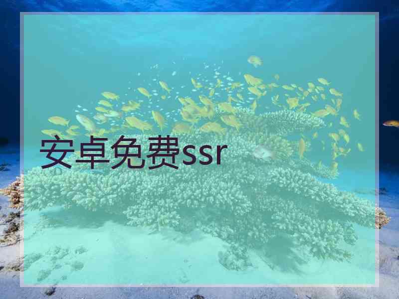 安卓免费ssr