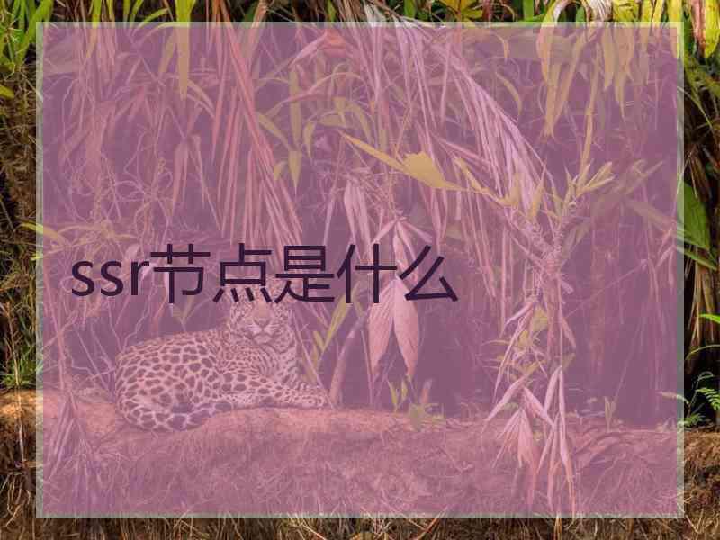 ssr节点是什么