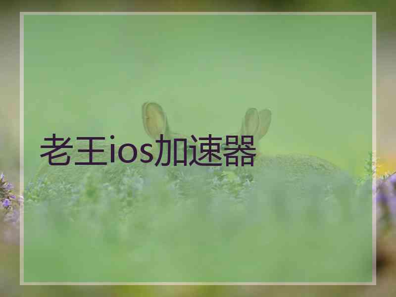 老王ios加速器