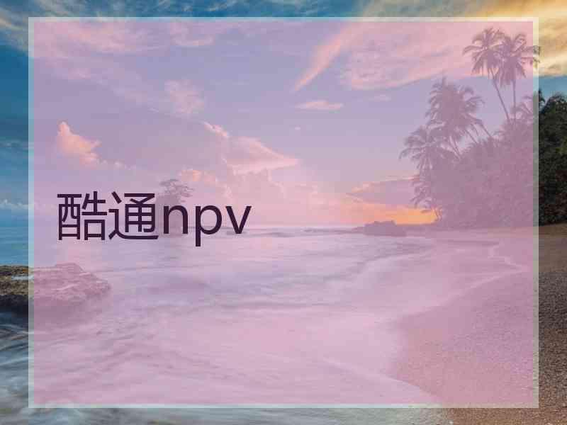 酷通npv