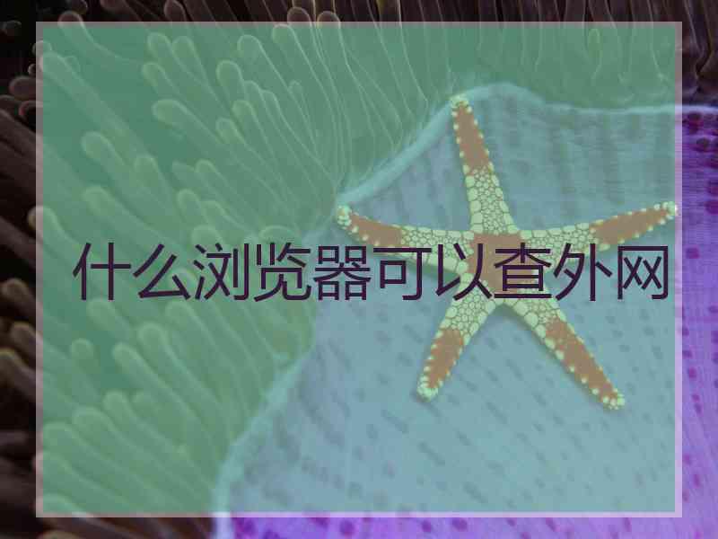 什么浏览器可以查外网