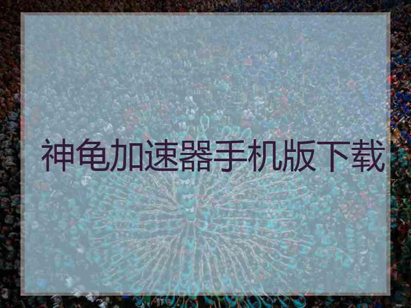 神龟加速器手机版下载