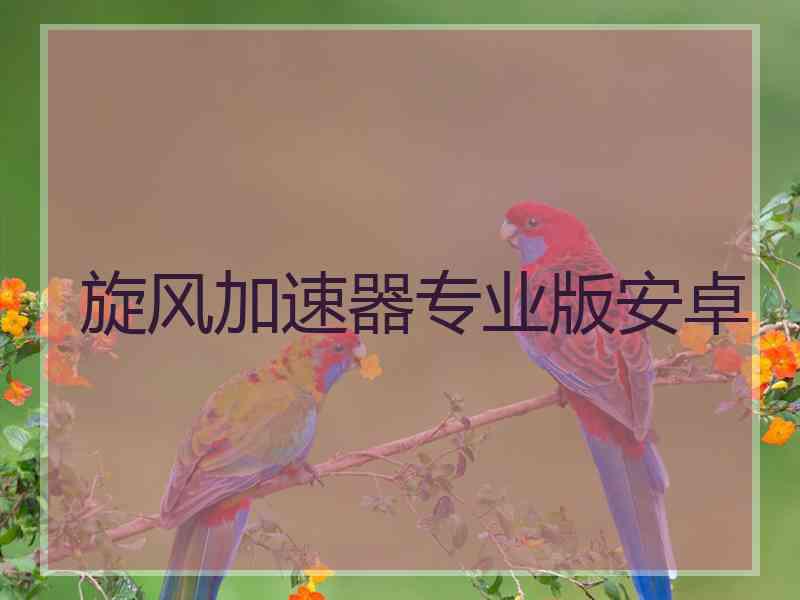 旋风加速器专业版安卓