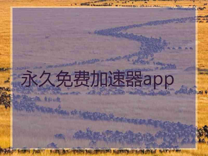 永久免费加速器app