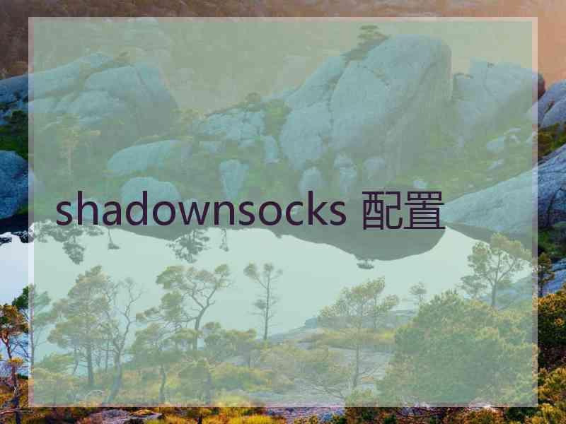 shadownsocks 配置