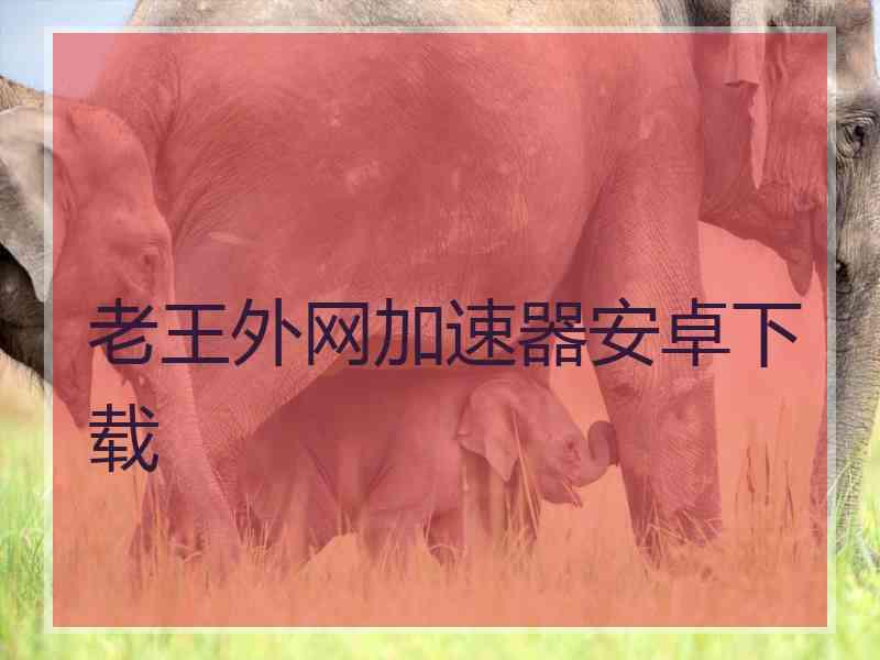 老王外网加速器安卓下载