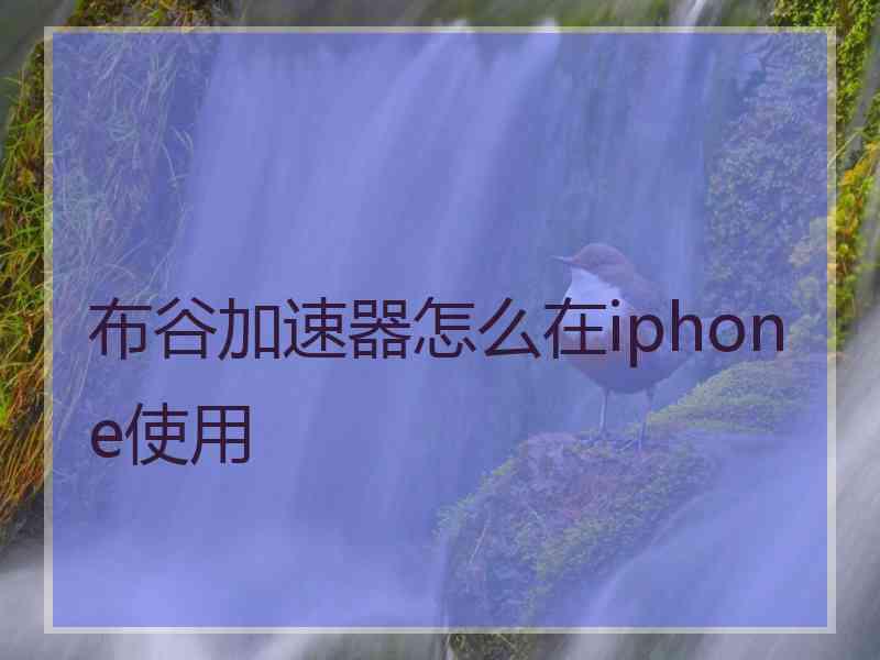 布谷加速器怎么在iphone使用
