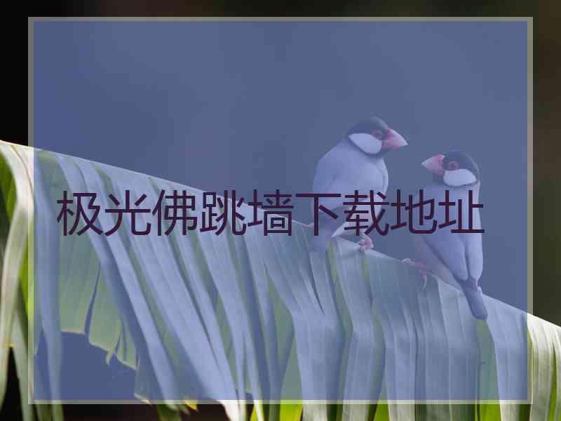 极光佛跳墙下载地址