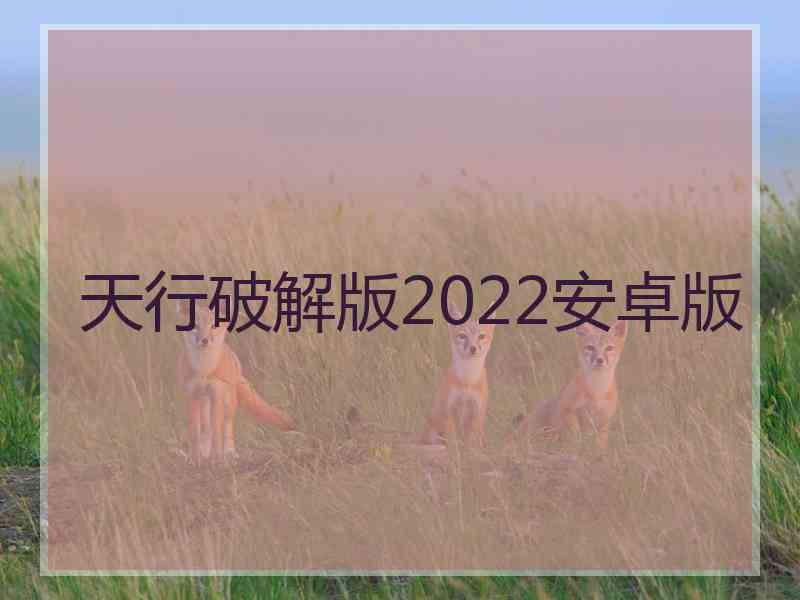 天行破解版2022安卓版