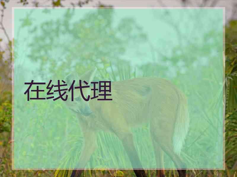 在线代理