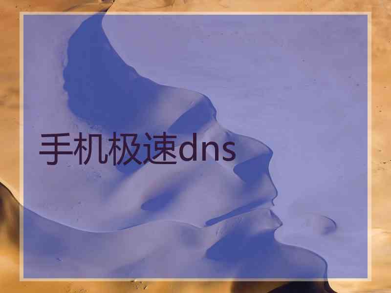 手机极速dns