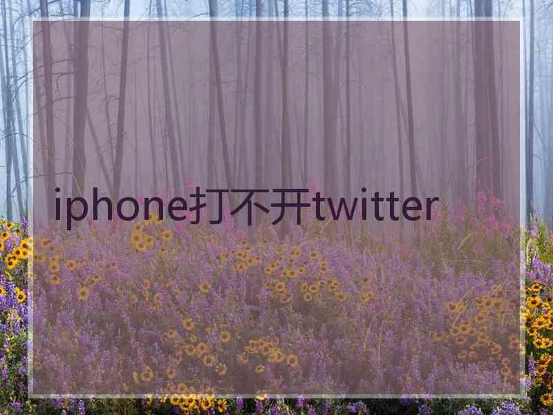 iphone打不开twitter