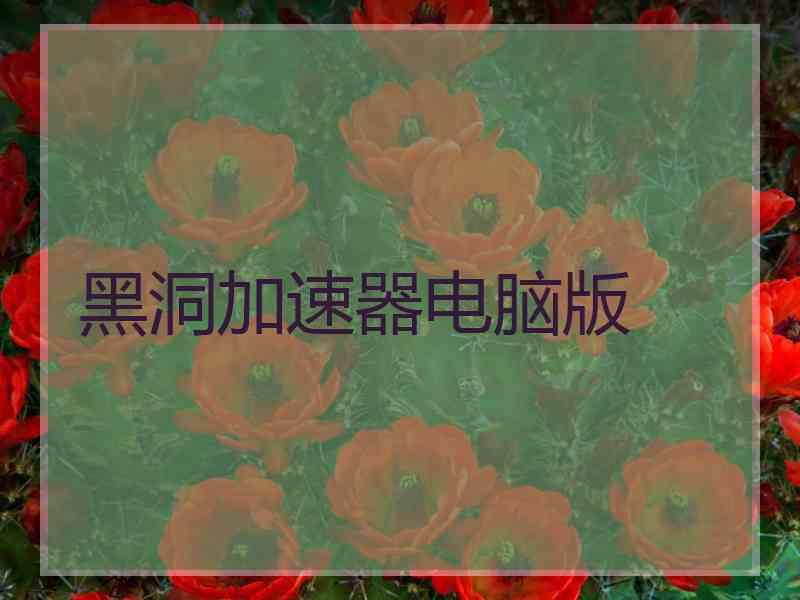 黑洞加速器电脑版