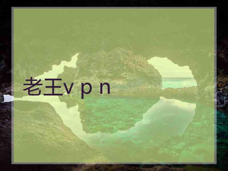 老王v p n