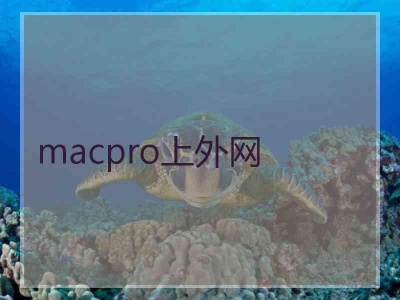 macpro上外网