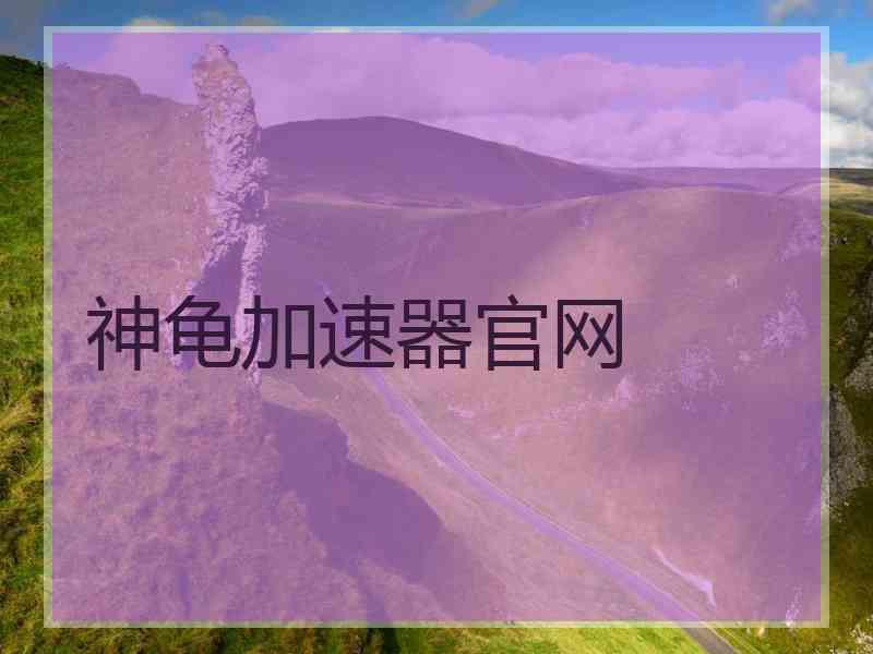 神龟加速器官网