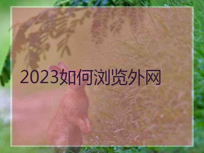 2023如何浏览外网