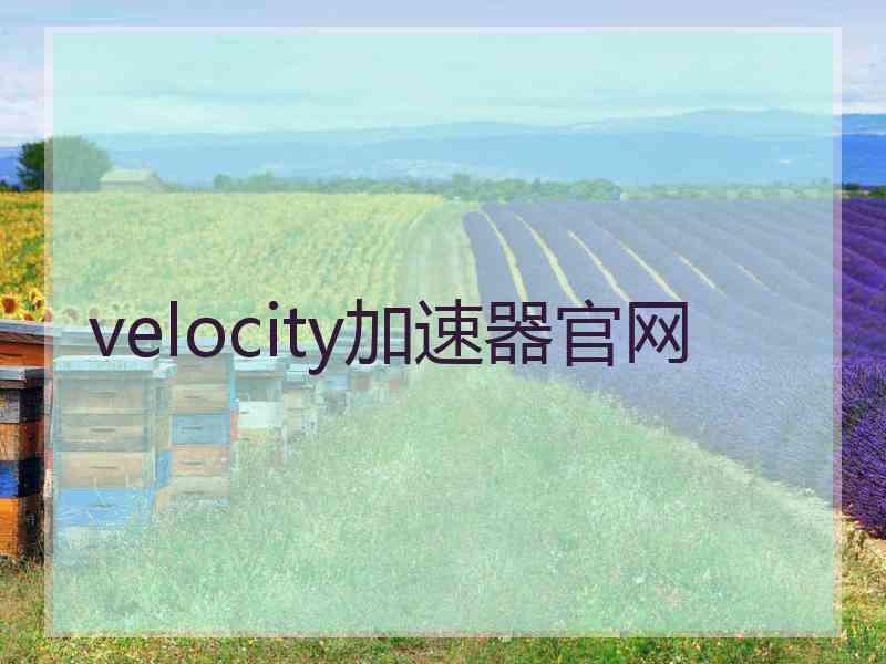 velocity加速器官网