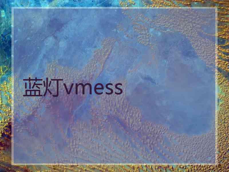 蓝灯vmess