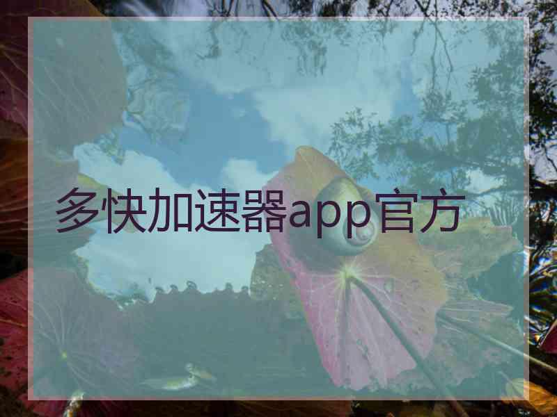 多快加速器app官方