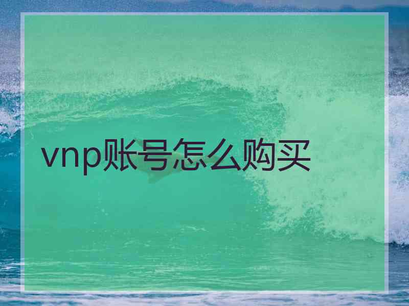 vnp账号怎么购买