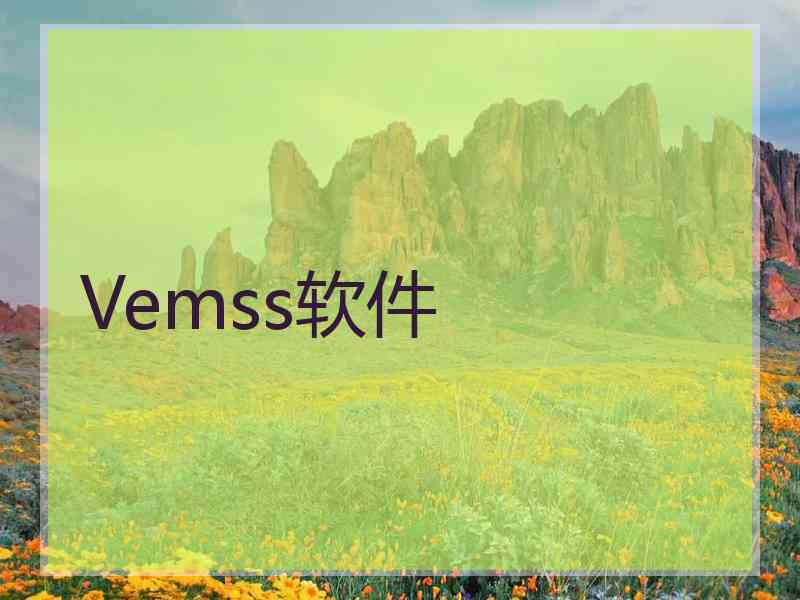 Vemss软件