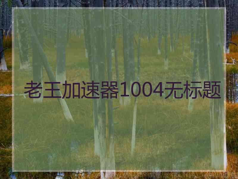老王加速器1004无标题