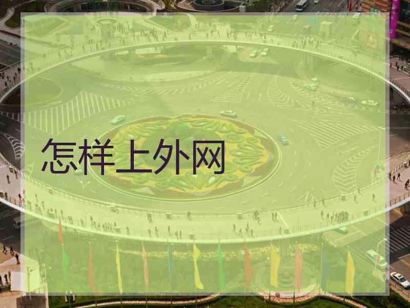 怎样上外网