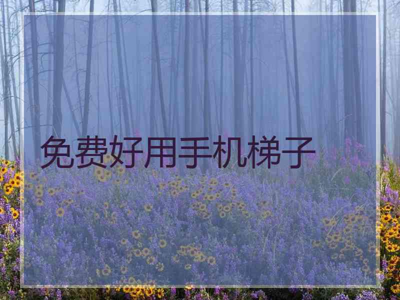 免费好用手机梯子