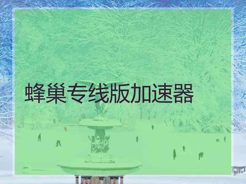 蜂巢专线版加速器
