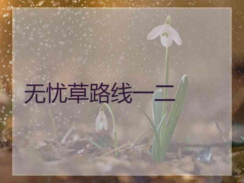 无忧草路线一二