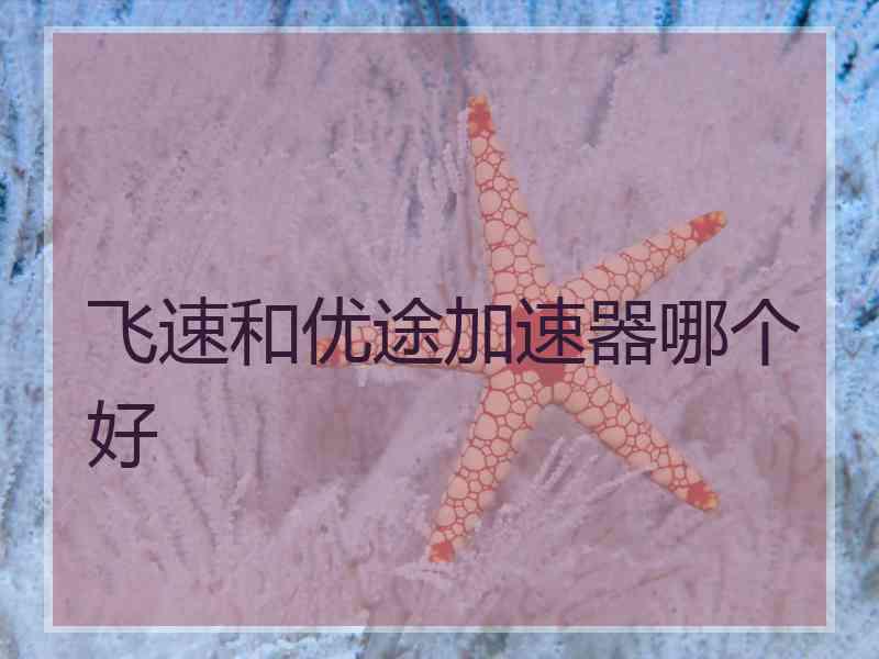 飞速和优途加速器哪个好