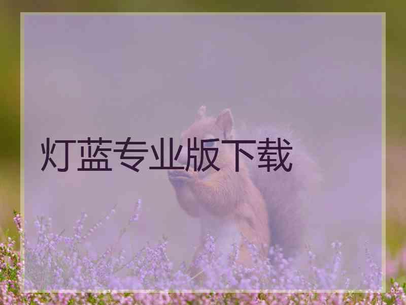 灯蓝专业版下载