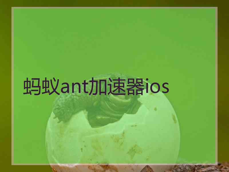 蚂蚁ant加速器ios