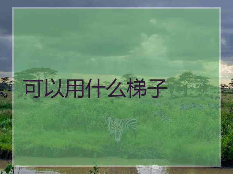 可以用什么梯子