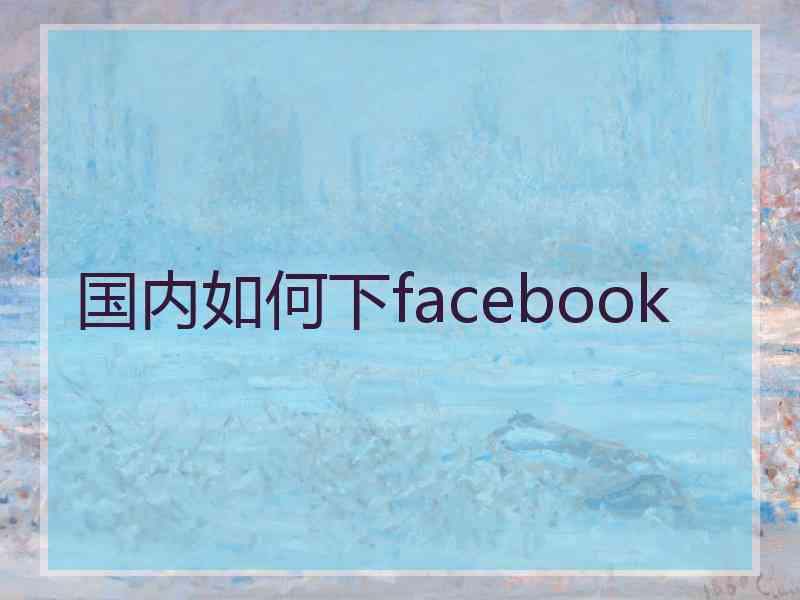 国内如何下facebook