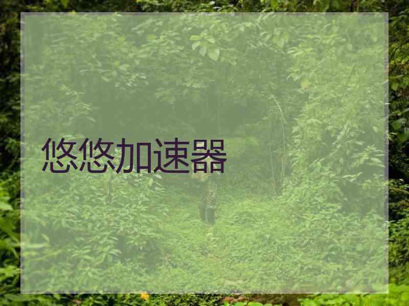 悠悠加速器