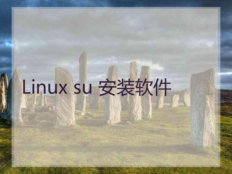 Linux su 安装软件