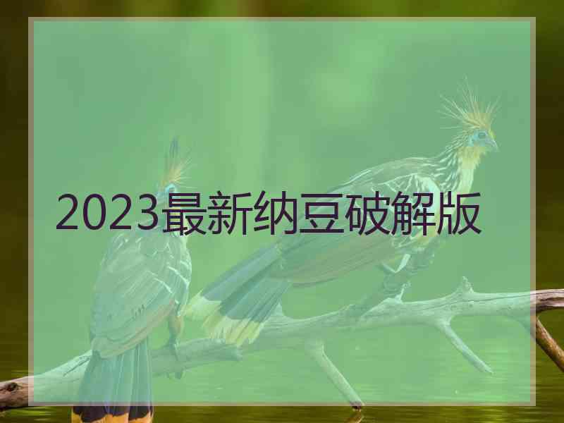 2023最新纳豆破解版