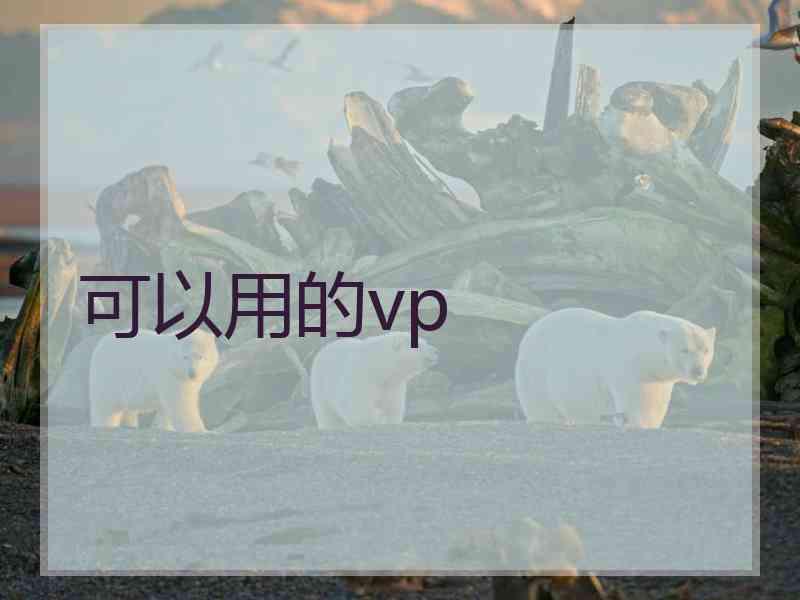 可以用的vp
