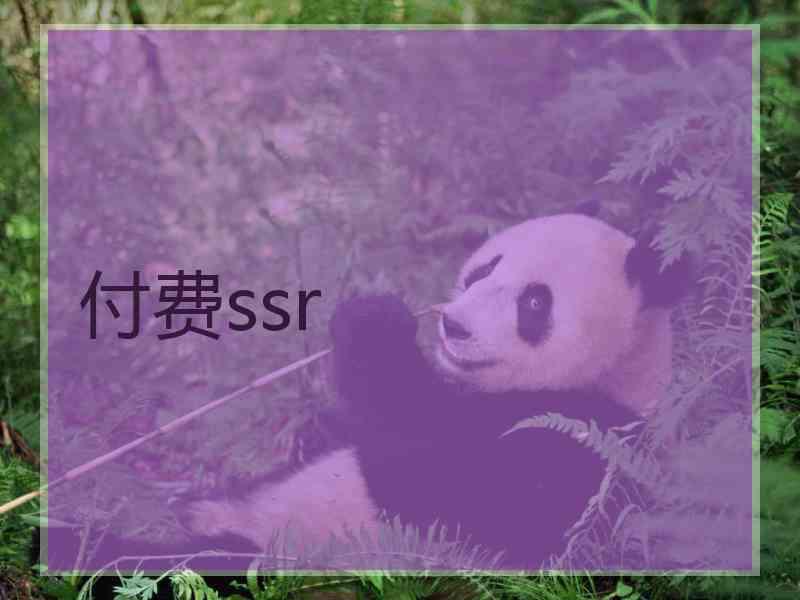 付费ssr