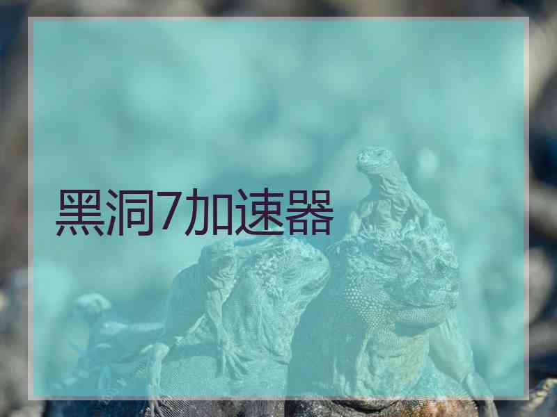 黑洞7加速器