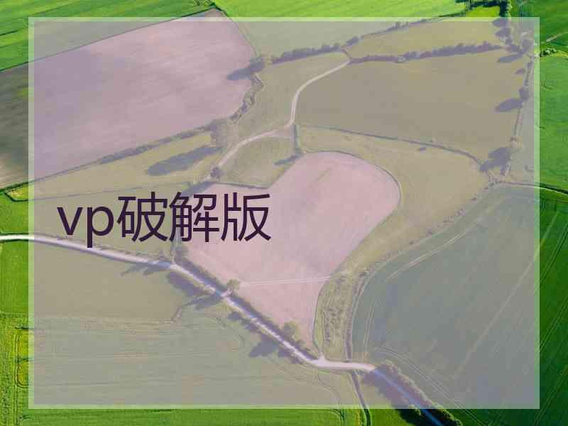 vp破解版