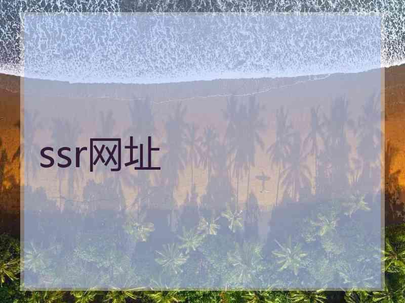 ssr网址