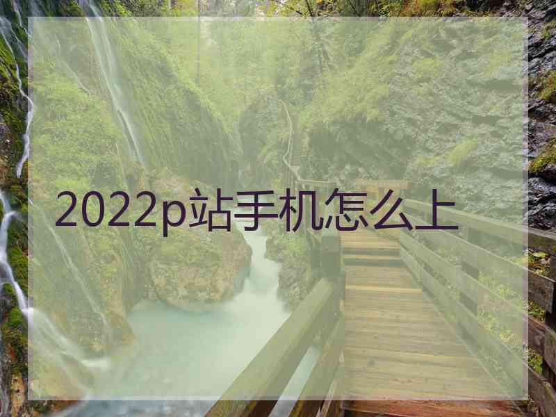 2022p站手机怎么上