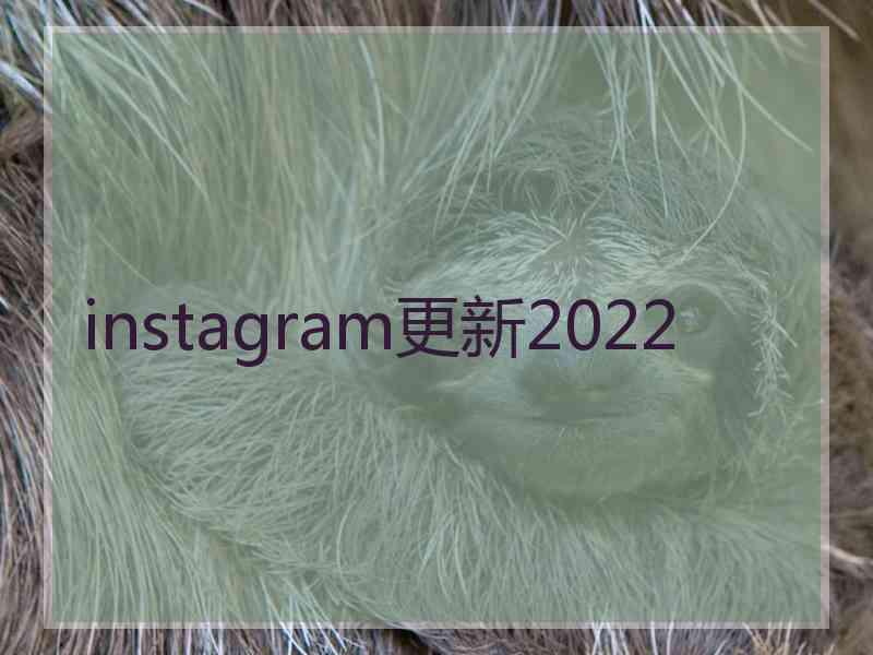 instagram更新2022