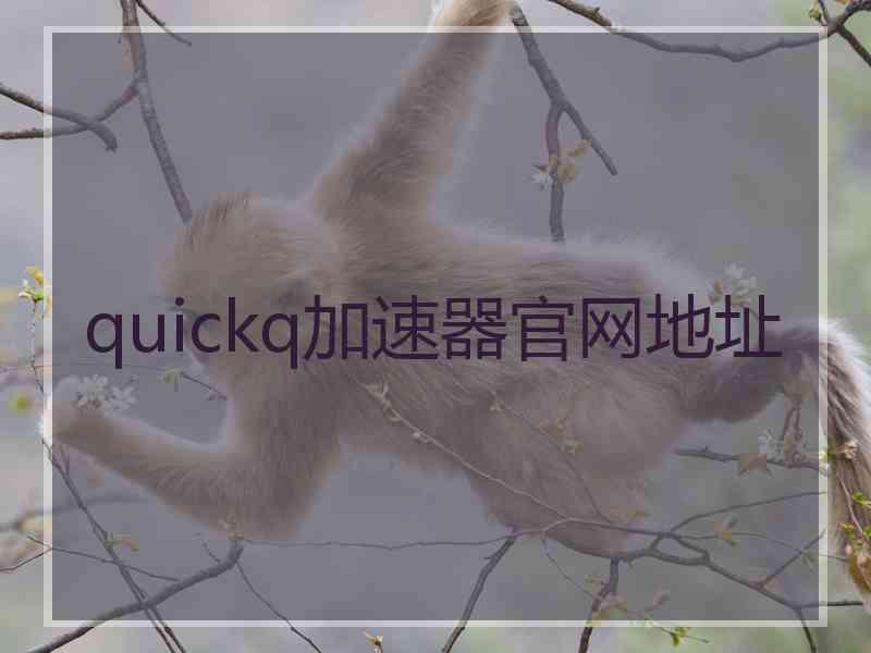 quickq加速器官网地址