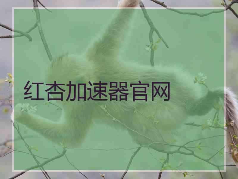 红杏加速器官网