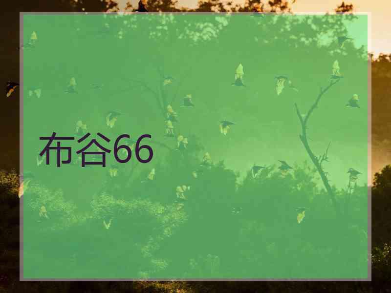 布谷66
